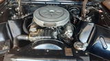 Ford Thunderbird Convertible