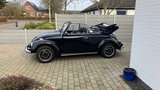 Volkswagen Beetle VW Bobbel 1500 cabriolet