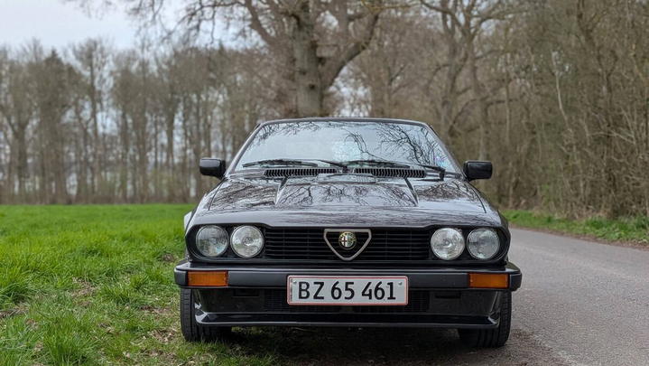 Alfa Romeo GTV Alfetta 6