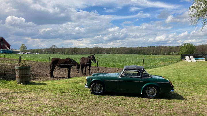 MG Midget Mk1