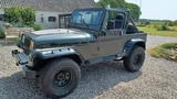 Jeep Wrangler YJ 4,2L