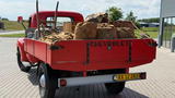 Chevrolet 3100 3800 1-TON