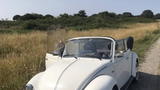 Volkswagen 1303 VW 1500