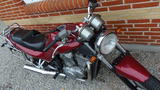 Suzuki VX 800