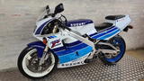 Suzuki RGV250 Gamma