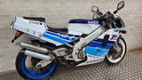 Suzuki RGV250 Gamma