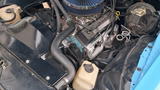 Pontiac Firebird Skybird