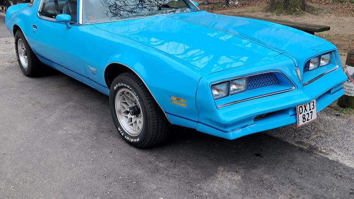 Pontiac Firebird Skybird