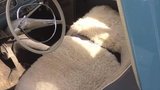 Opel Olympia 1,7 st car