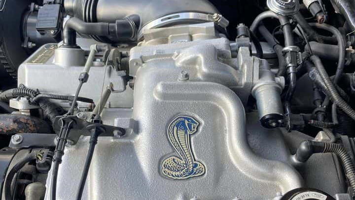 Ford Mustang SVT Cobra Cabriolet