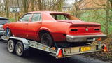 Ford Maverick Øvrige