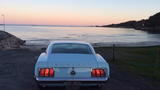 Ford Mustang 4,7 V8 289cui. 2d
